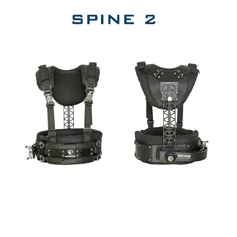 Laing Back Mounting Vest Spine 2